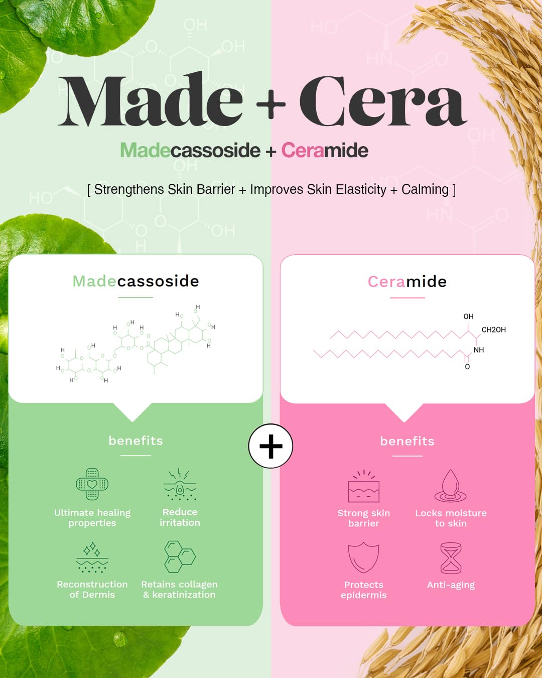 Centre d’attention: Centella asiatica et madecassoside sur l’étiquette
