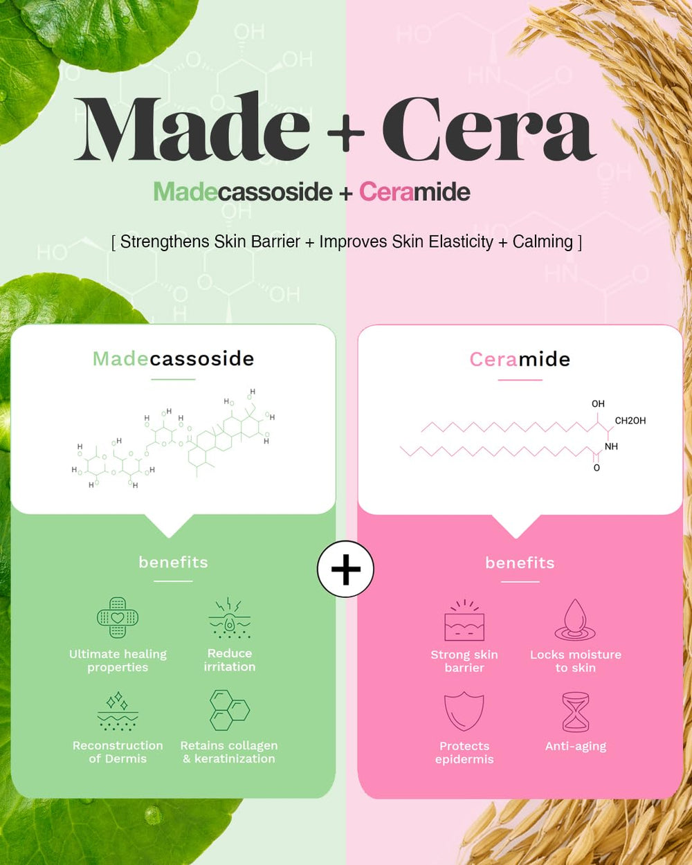 Centre d’attention: Centella asiatica et madecassoside sur l’étiquette