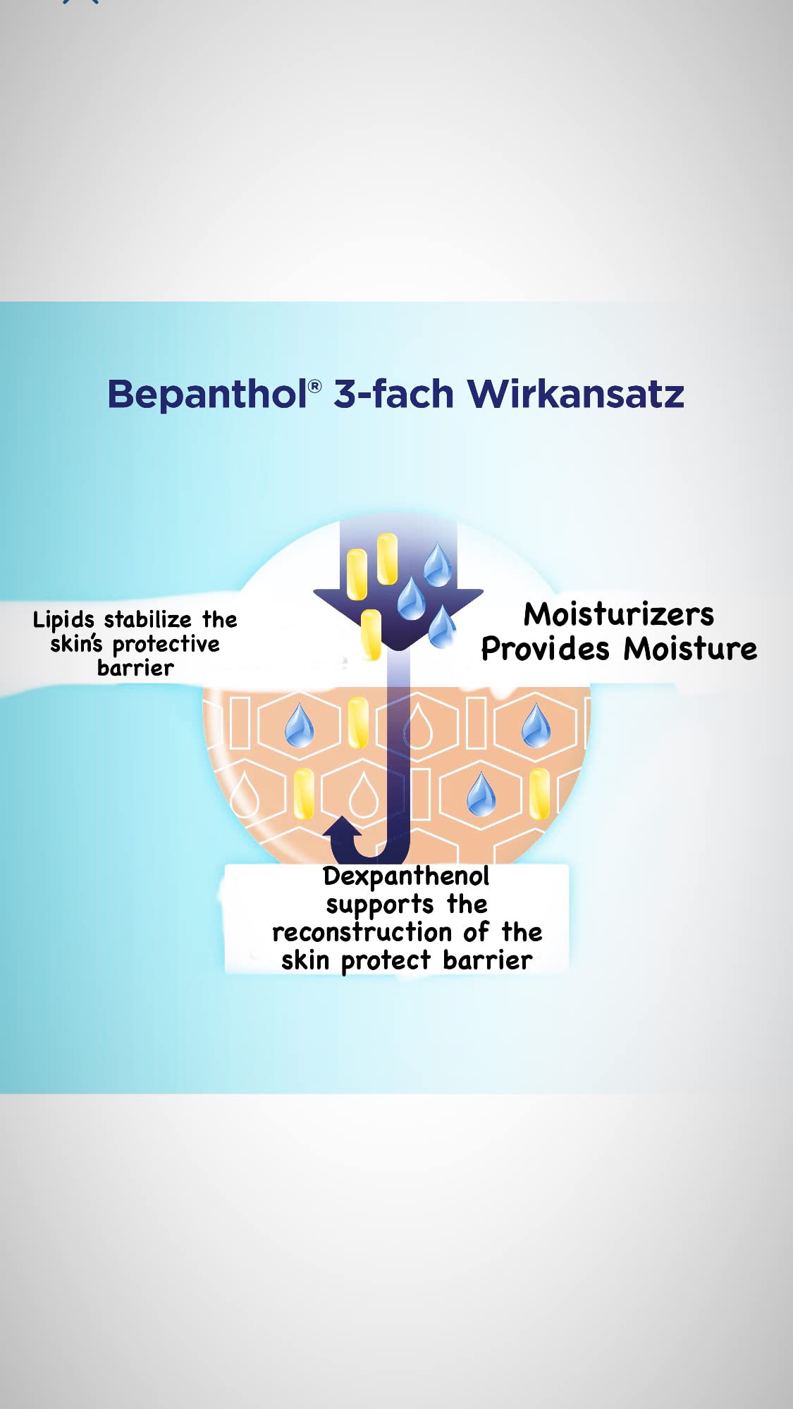 Bepanthol Stick Lèvres texture onctueuse, absorption rapide.