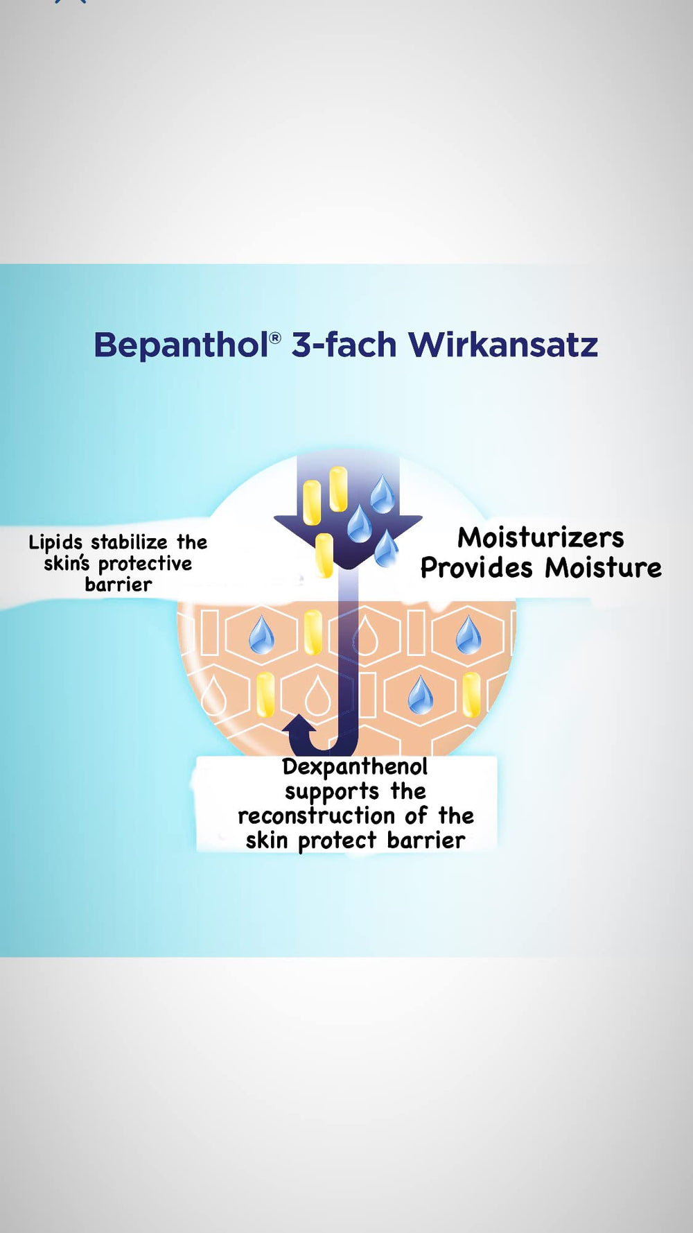 Bepanthol Stick Lèvres texture onctueuse, absorption rapide.