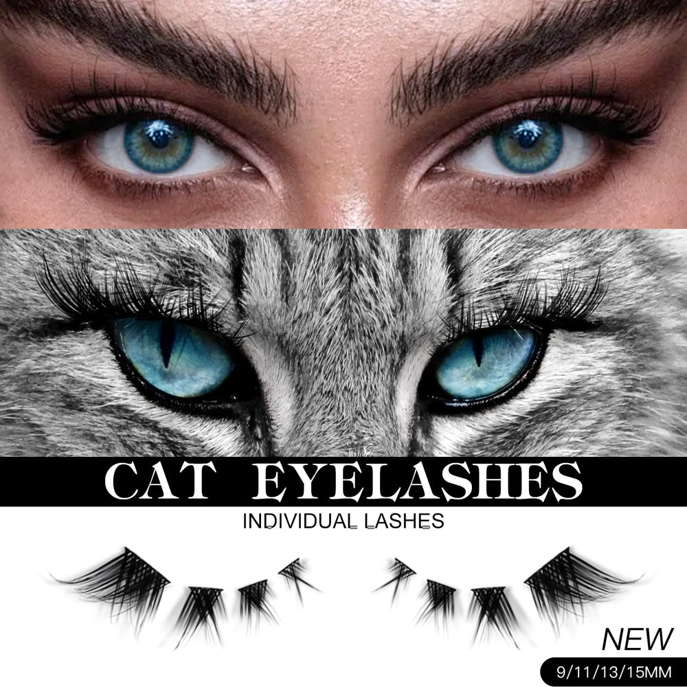 Cils Bershnor en clusters: 256 pièces pour volume modulable