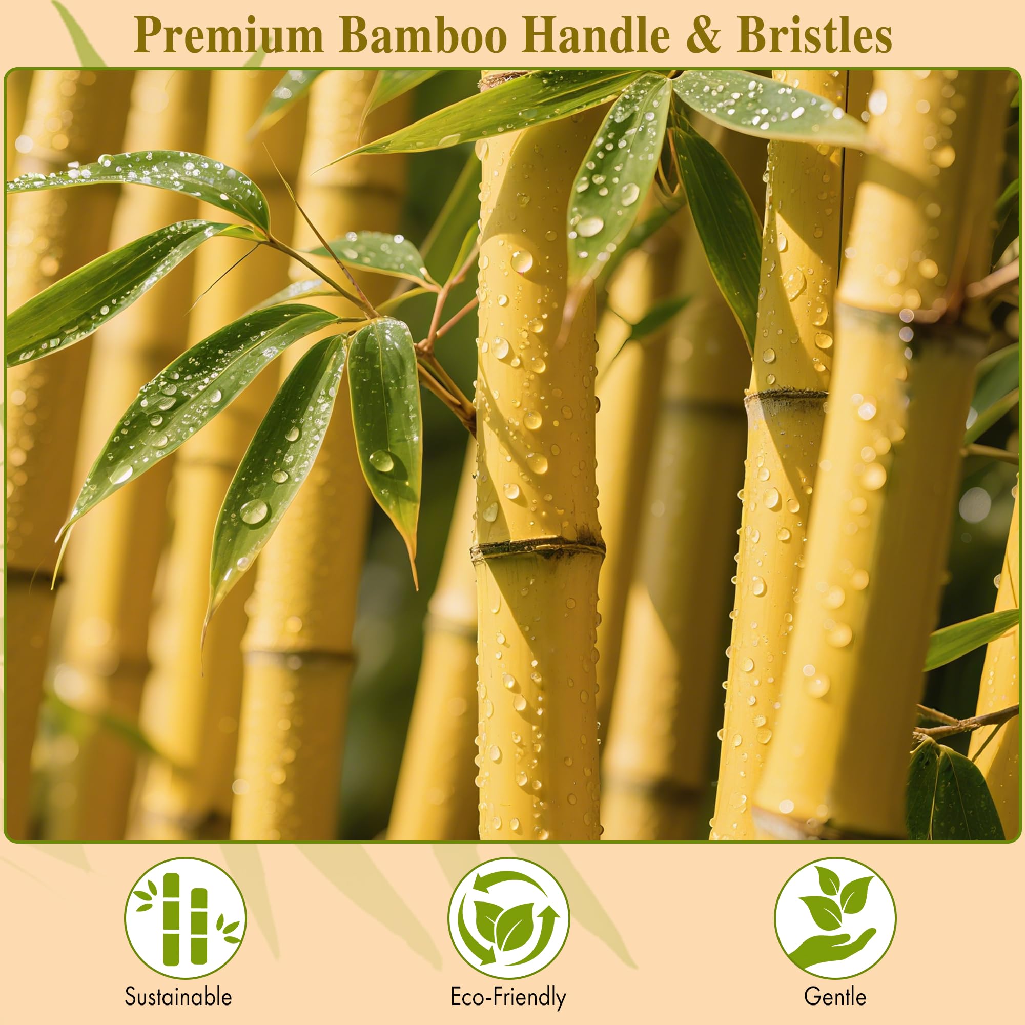 BFWood brosse paddle en bambou anti-statique lisse les cuticules et frisottis