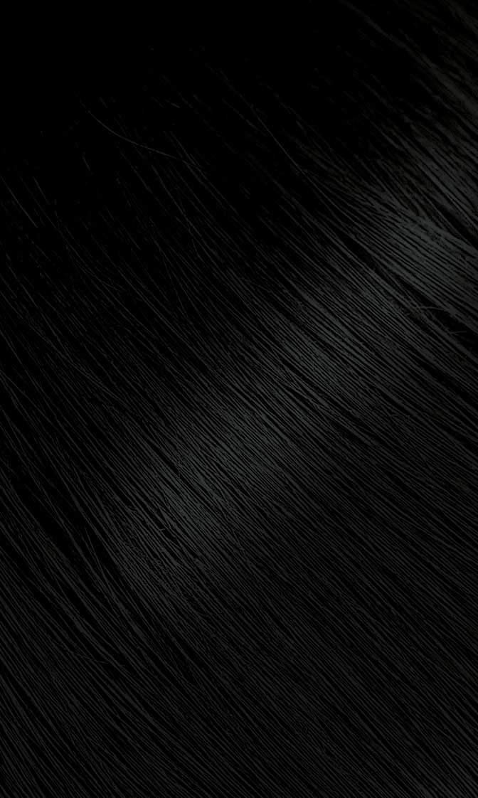 Bigen Poudre Permanente Noir Oriental, application facile pour une teinte homogène et rapide.