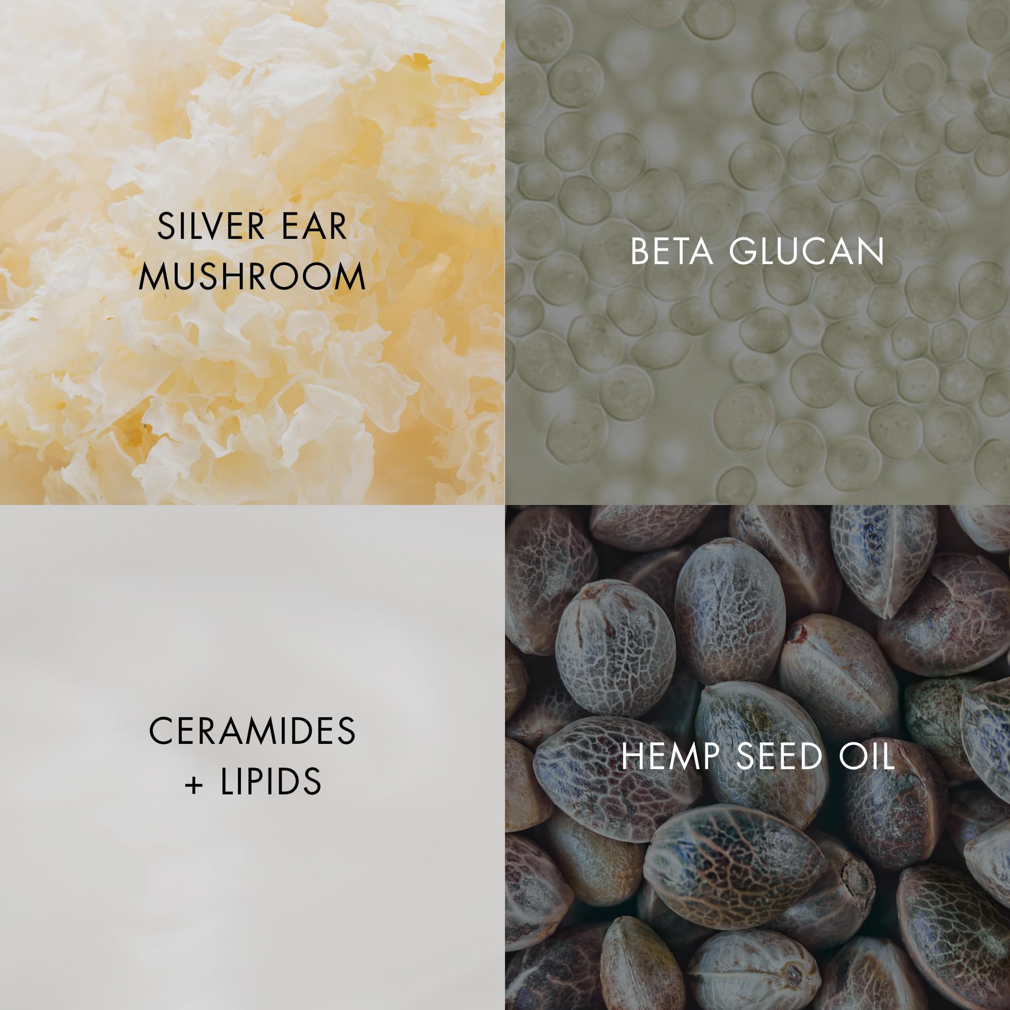 Bioelements Barrier Fix Crème visage vegan et sans gluten — choix éthique.