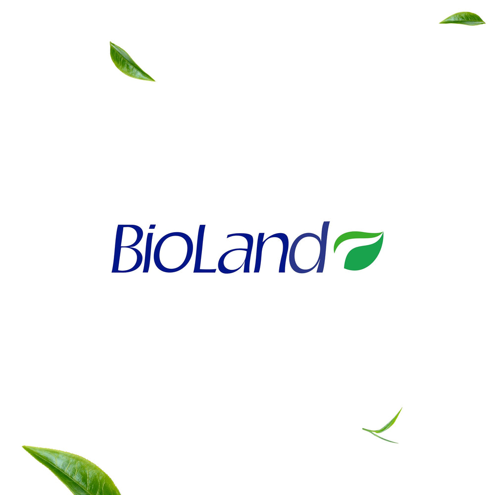 Bioland Costa Rica harvest field image, illustrating fresh botanical origins