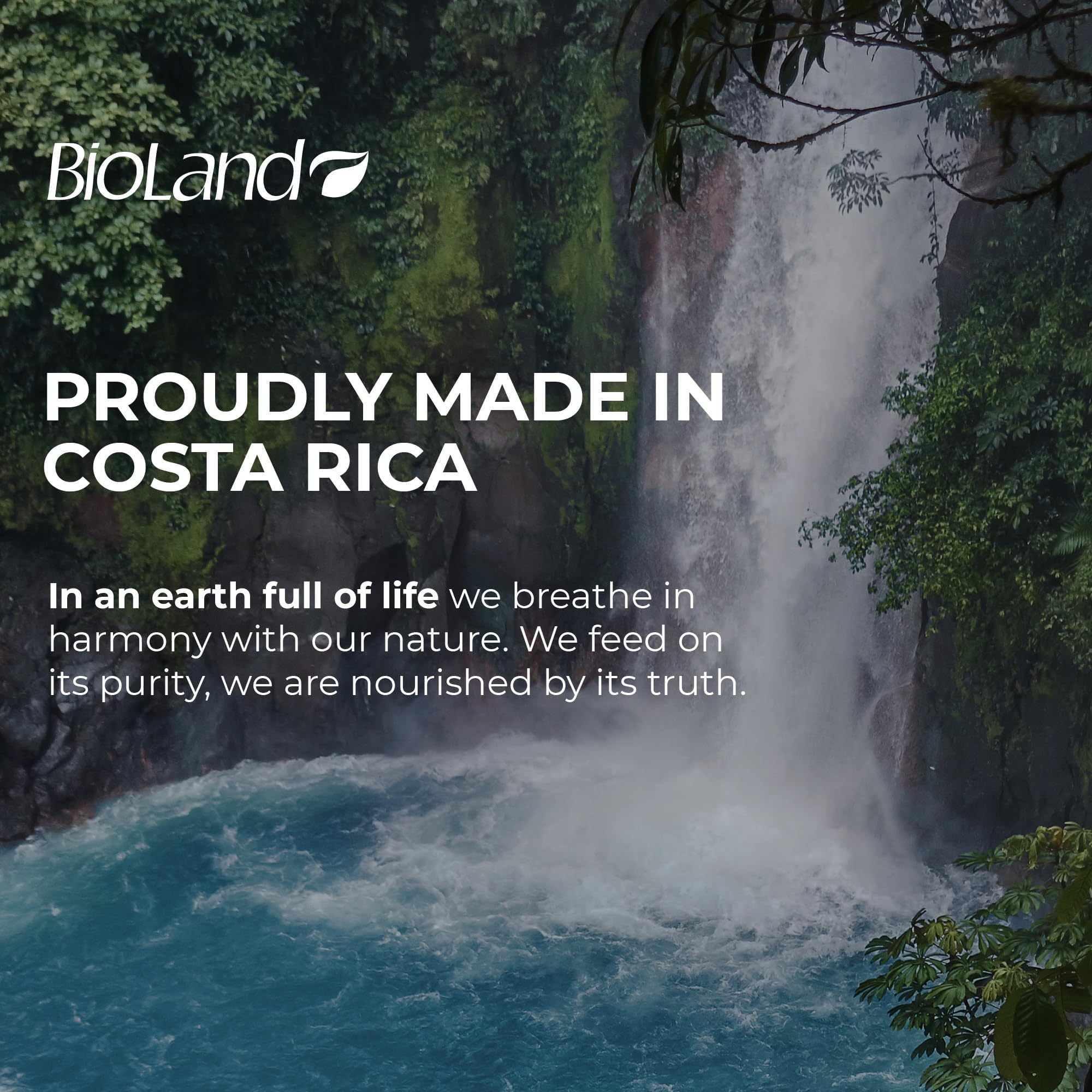 Bioland Costa Rica production line image, highlighting harvest-to-bottle purity