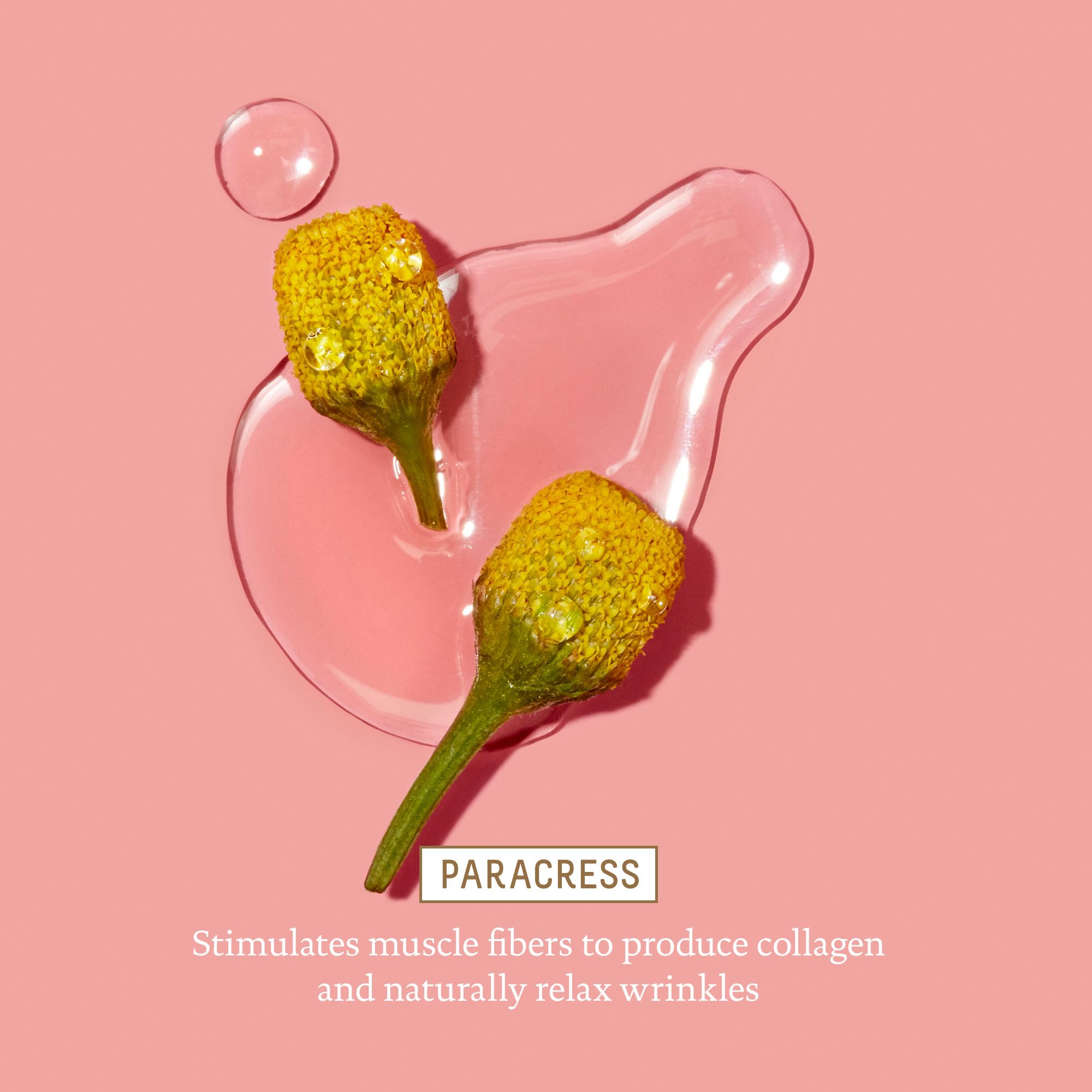 BIOSSANCE crème yeux, algues marines roses et soin ciblé