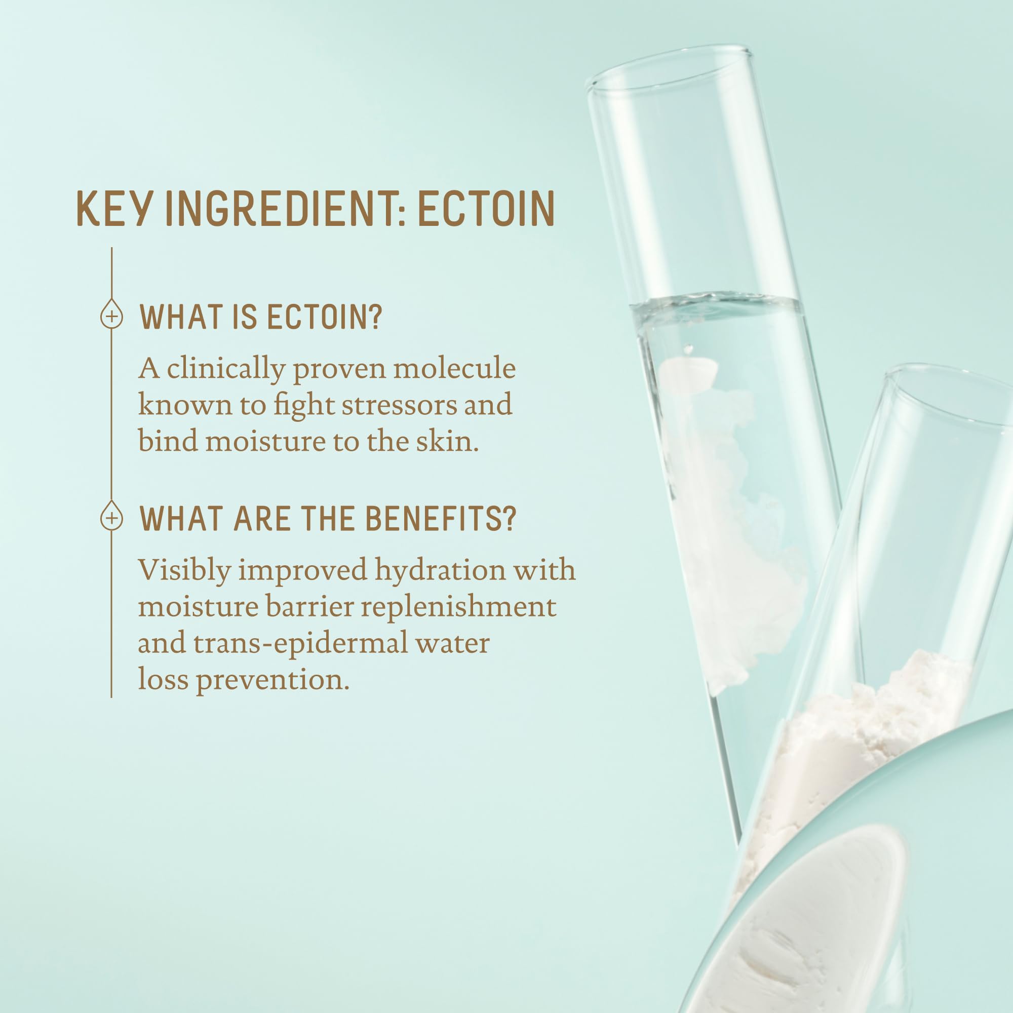 Hydratation durable Biossance Squalane Zinc prolonge le maquillage.
