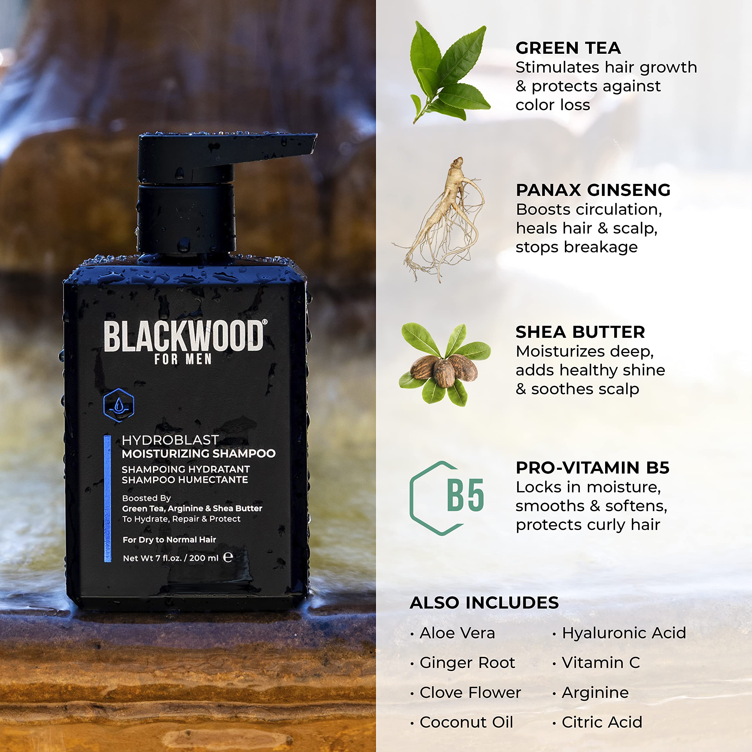 Blackwood For Men Hydroblast – arôme gingembre et aloe vera pour une sensation rafraîchissante.