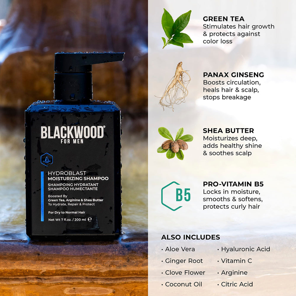 Blackwood For Men Hydroblast – arôme gingembre et aloe vera pour une sensation rafraîchissante.