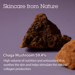BLITHE lift-visage-tundra-chaga peut offrir un effet tenseur potentiel