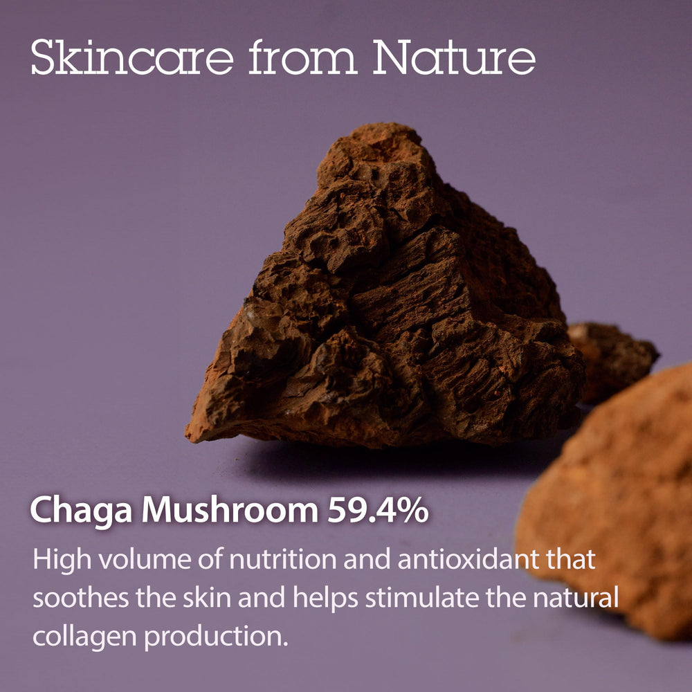 Pot-doseur compact du Sérum Presse Tundra Chaga pour soin visage