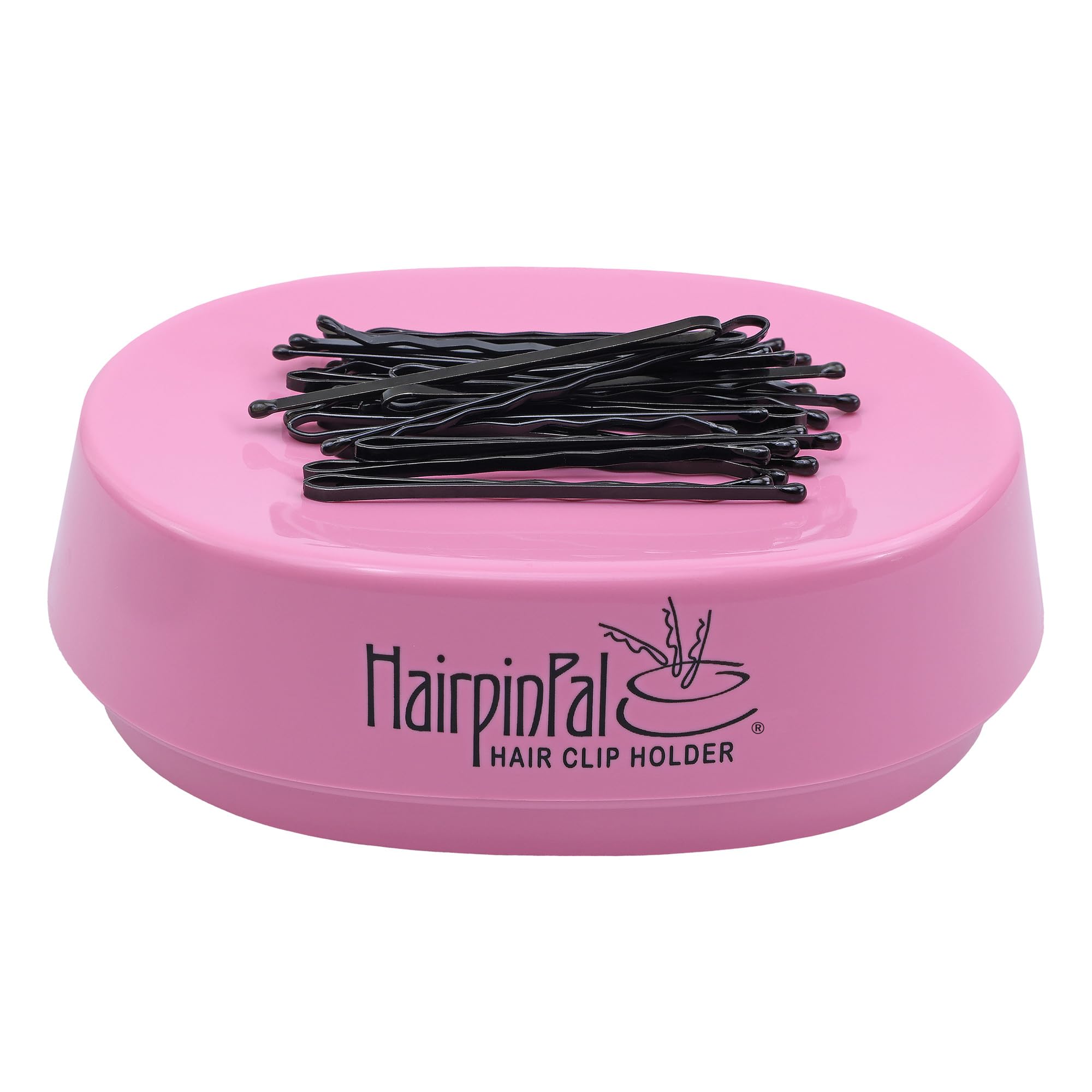 Blue Feather HairpinPal porte-pin magnétique pour ranger facilement pinces et barrettes.