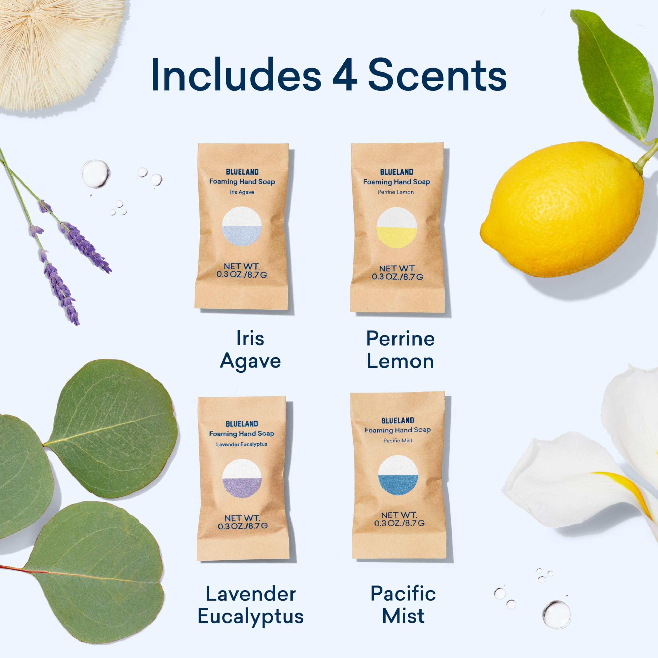 BLUELAND: parfum Iris Agave, senteur fraîche pour la cuisine