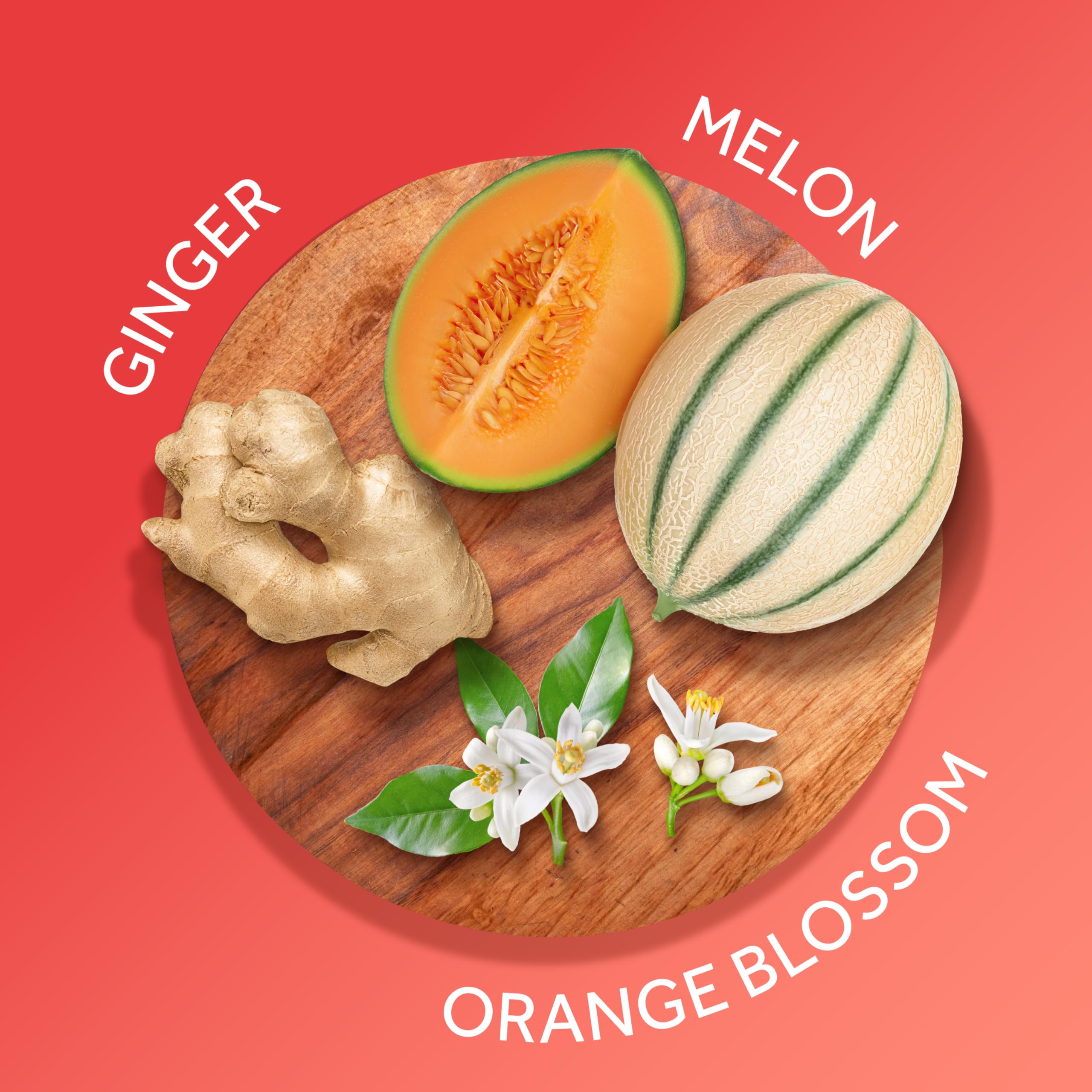 Body Fantasies Calgon Hawaiian Ginger – beurre de karité et aloe nourrissants sur peau