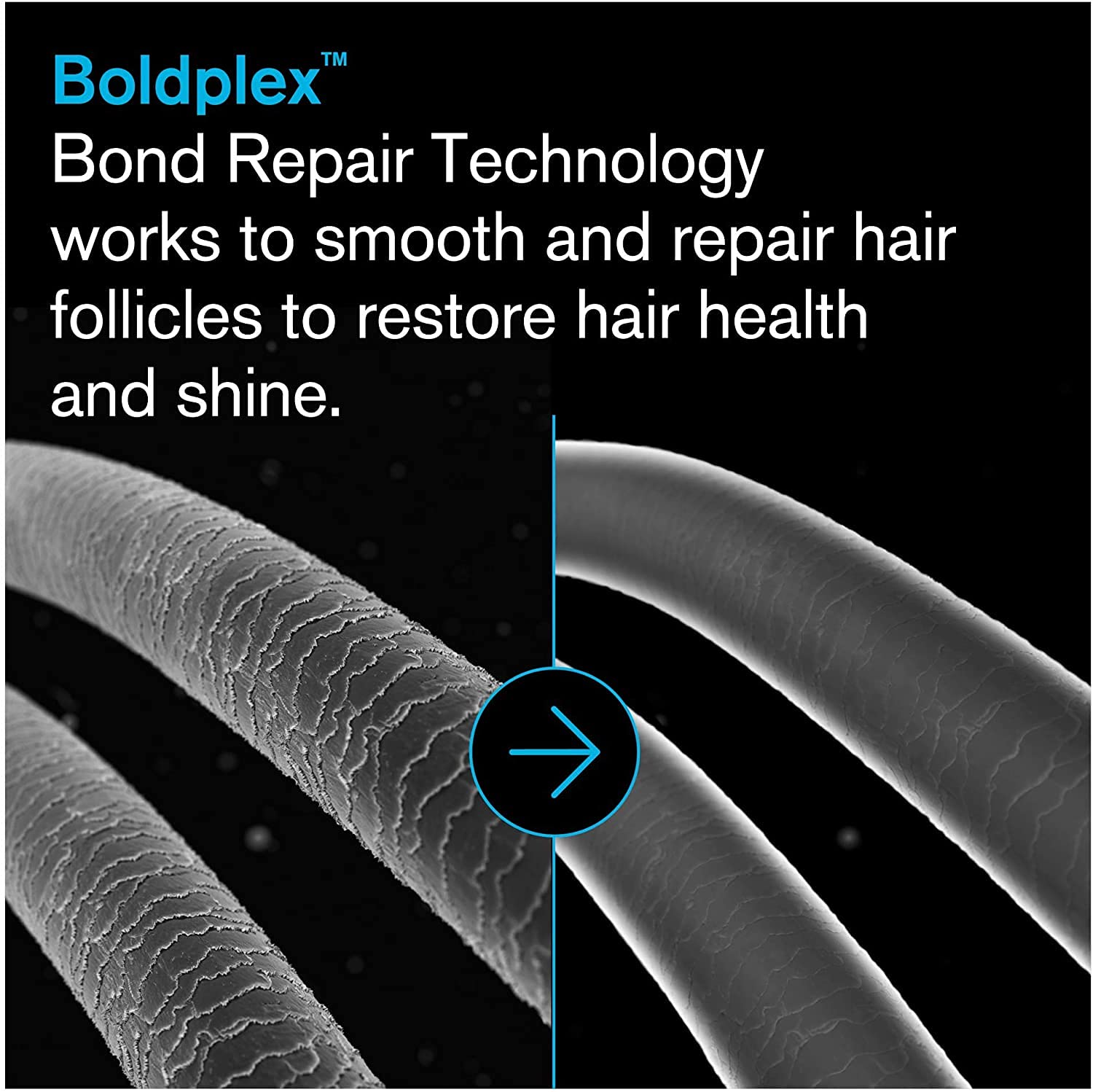 BoldPlex 5 – Protection quotidienne adaptée aux cheveux colorés.