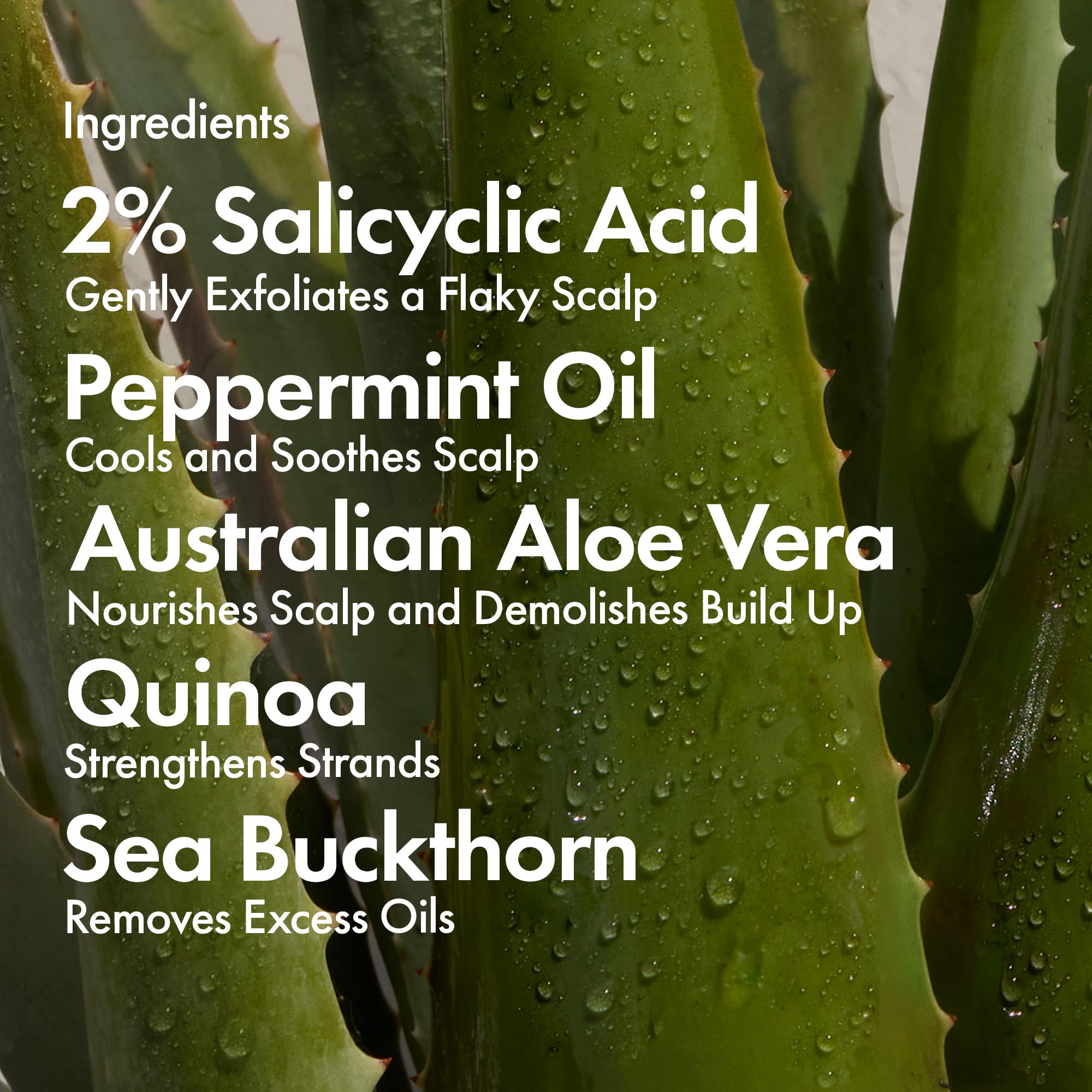 Bondiboost quinoa hydrolysé : hydratation en profondeur et apaisement du cuir chevelu