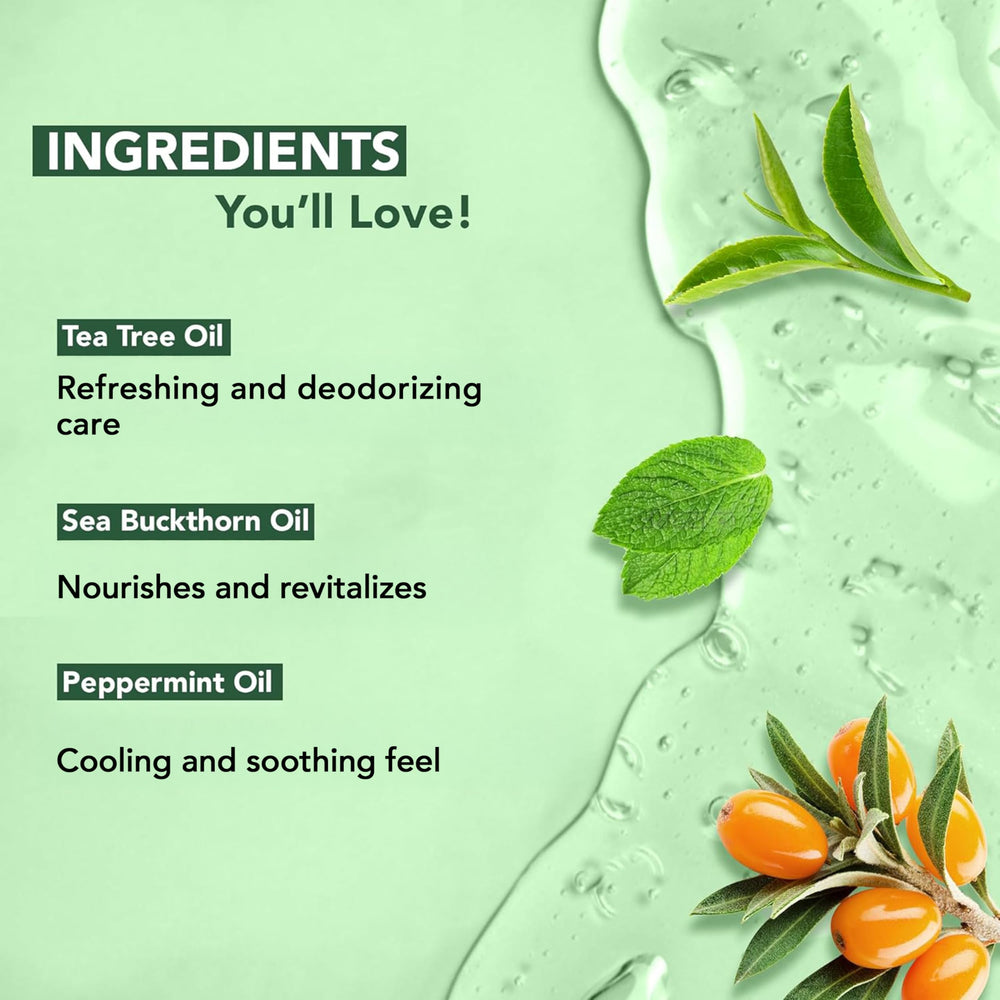 Botanic Hearth Gel Douche Arbre à Thé – ingrédients naturels et huile d'arbre à thé