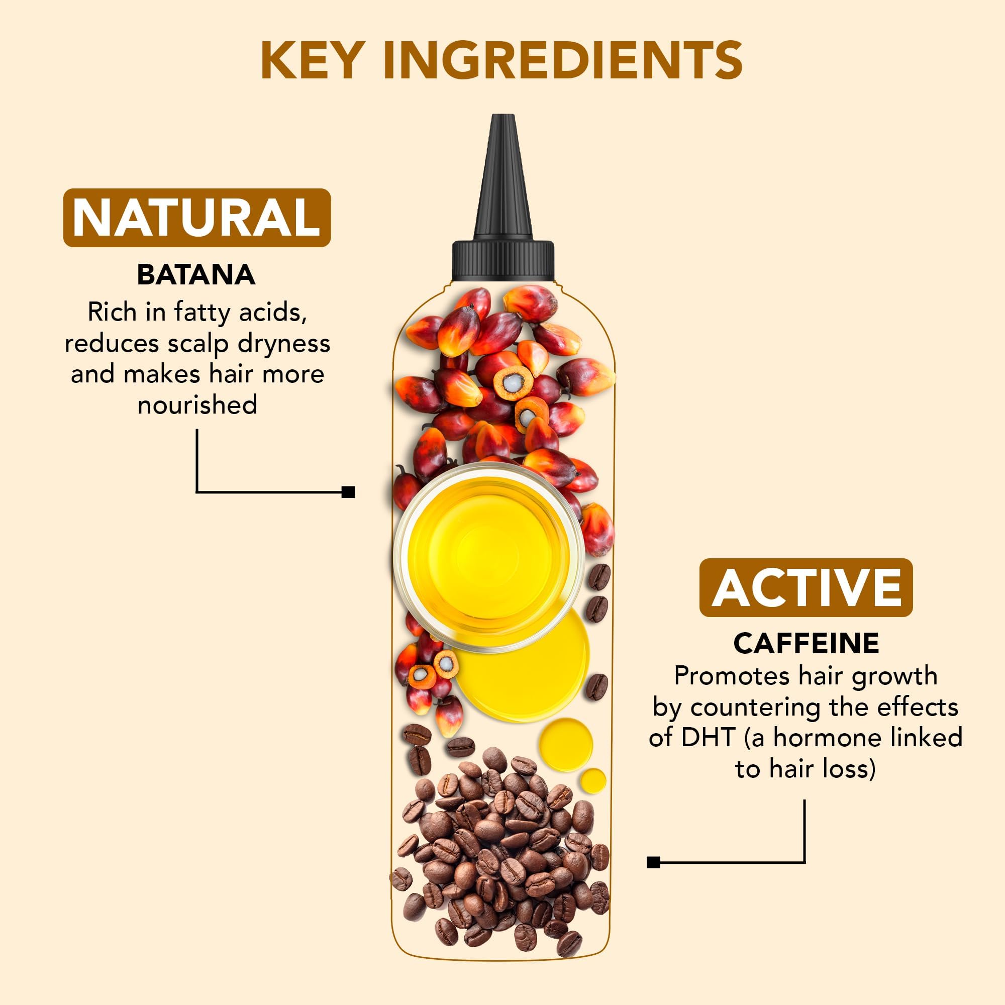 Botanic Hearth Huile Cheveux – applicateur peigne pour répartir et lisser les cheveux