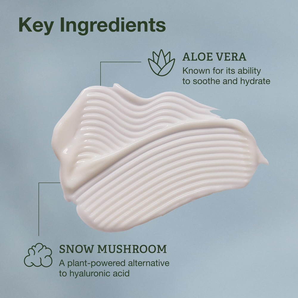 Botanics snow mushroom ingredients visualization highlighting plant-powered hydration