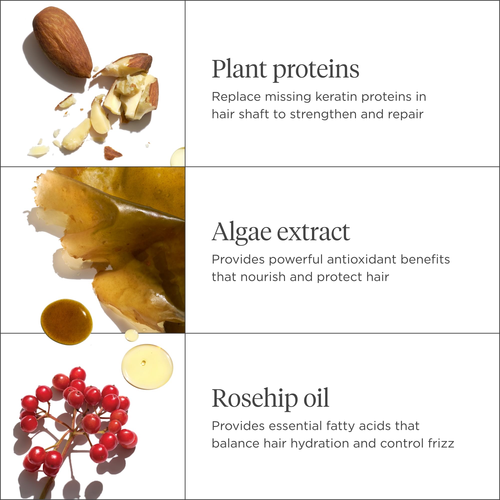 Après-shampooing nourrissant complémentaire à l'hydratation briogeo.