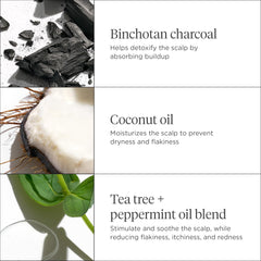 Briogeo Scalp Revival: massage cuir chevelu pour une sensation fraîche et apaisante