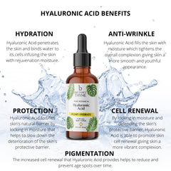 Brittanie's Thyme Sérum Hyaluronique – texture légère qui pénètre rapidement.