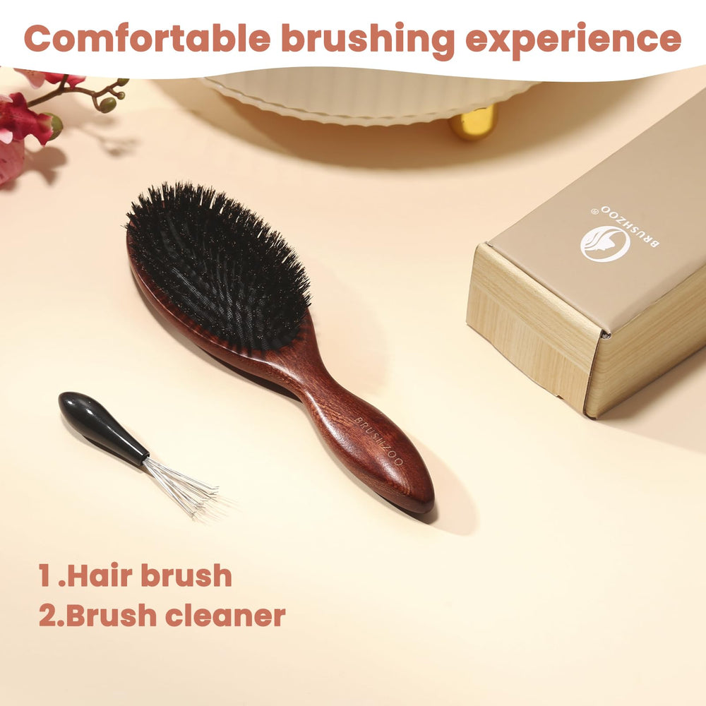 Brosse BRUSHZOO pratique pour le brossage quotidien et l'entretien.