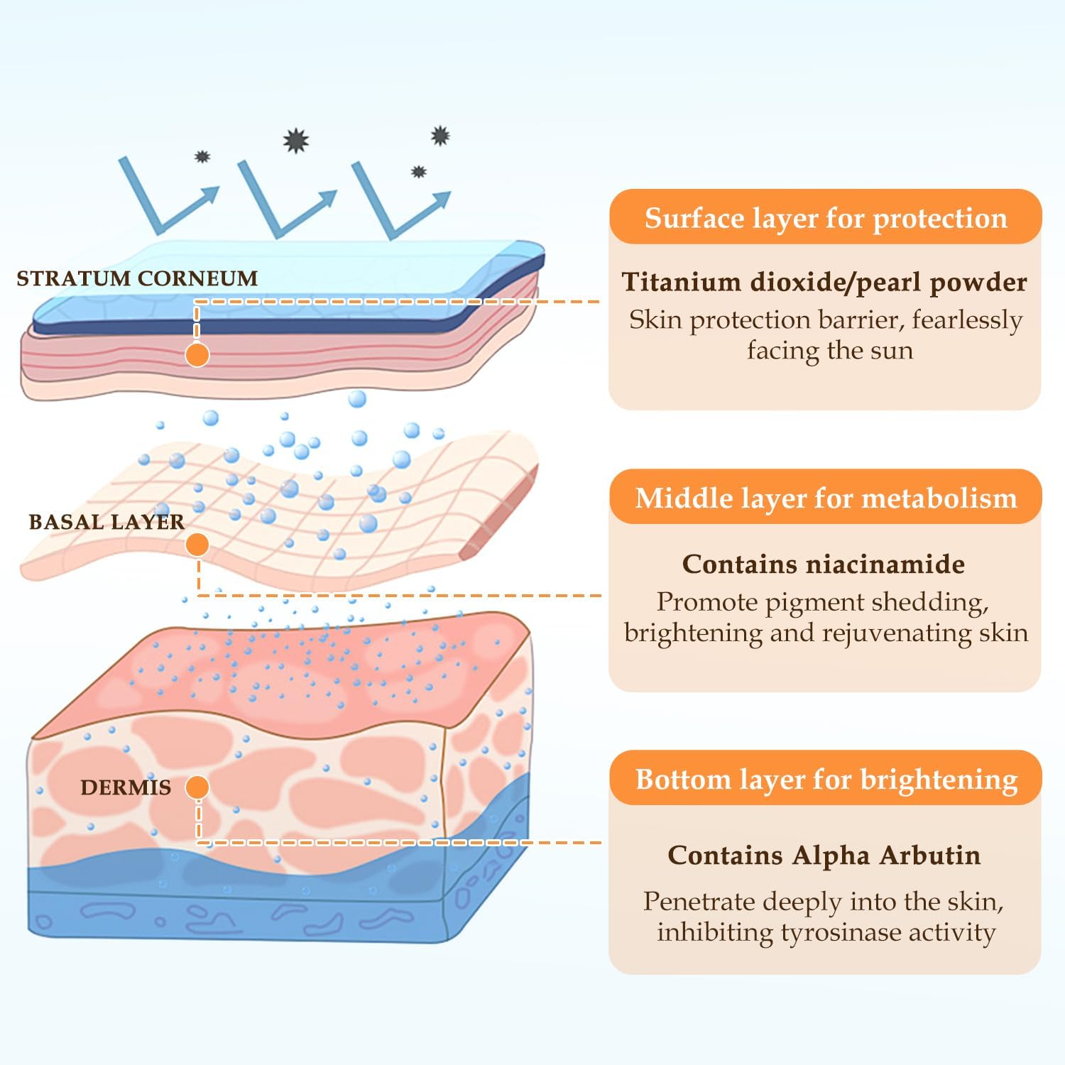 Hydratation douce et durable offerte par la Crème tonifiante cinq vitamines.