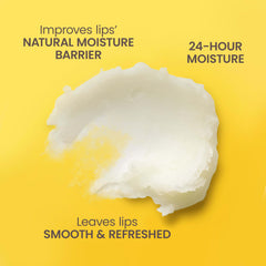 Baume lèvres Concombre et Menthe Burt's Bees, usage quotidien.