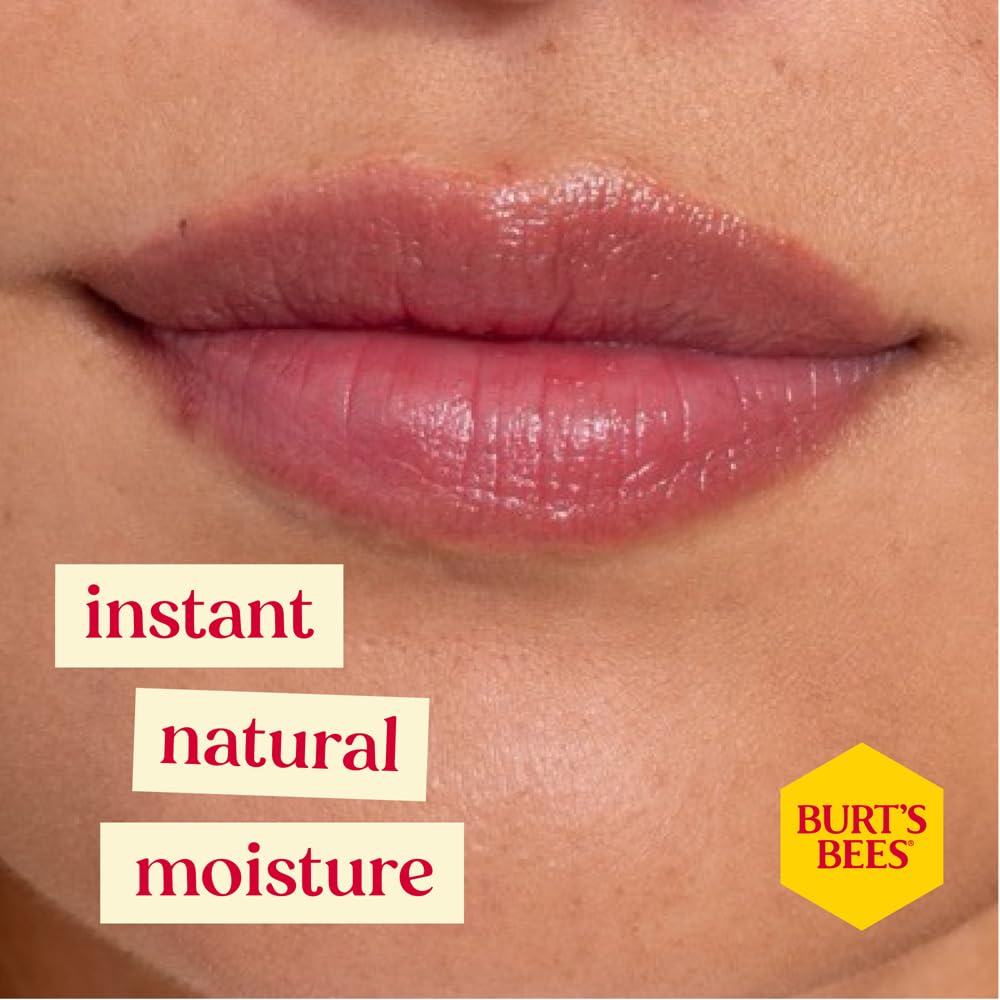 Burt's Bees Brillant à lèvres prune, tube mince idéal pour le sac à main.