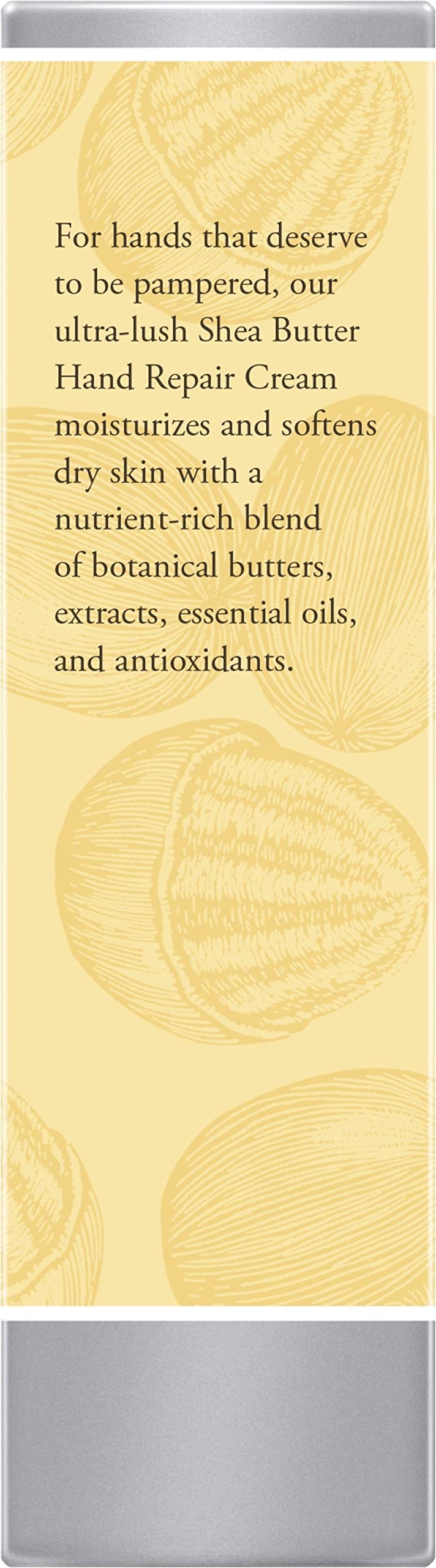 Ingrédients naturels Burt's Bees main et extraits botaniques