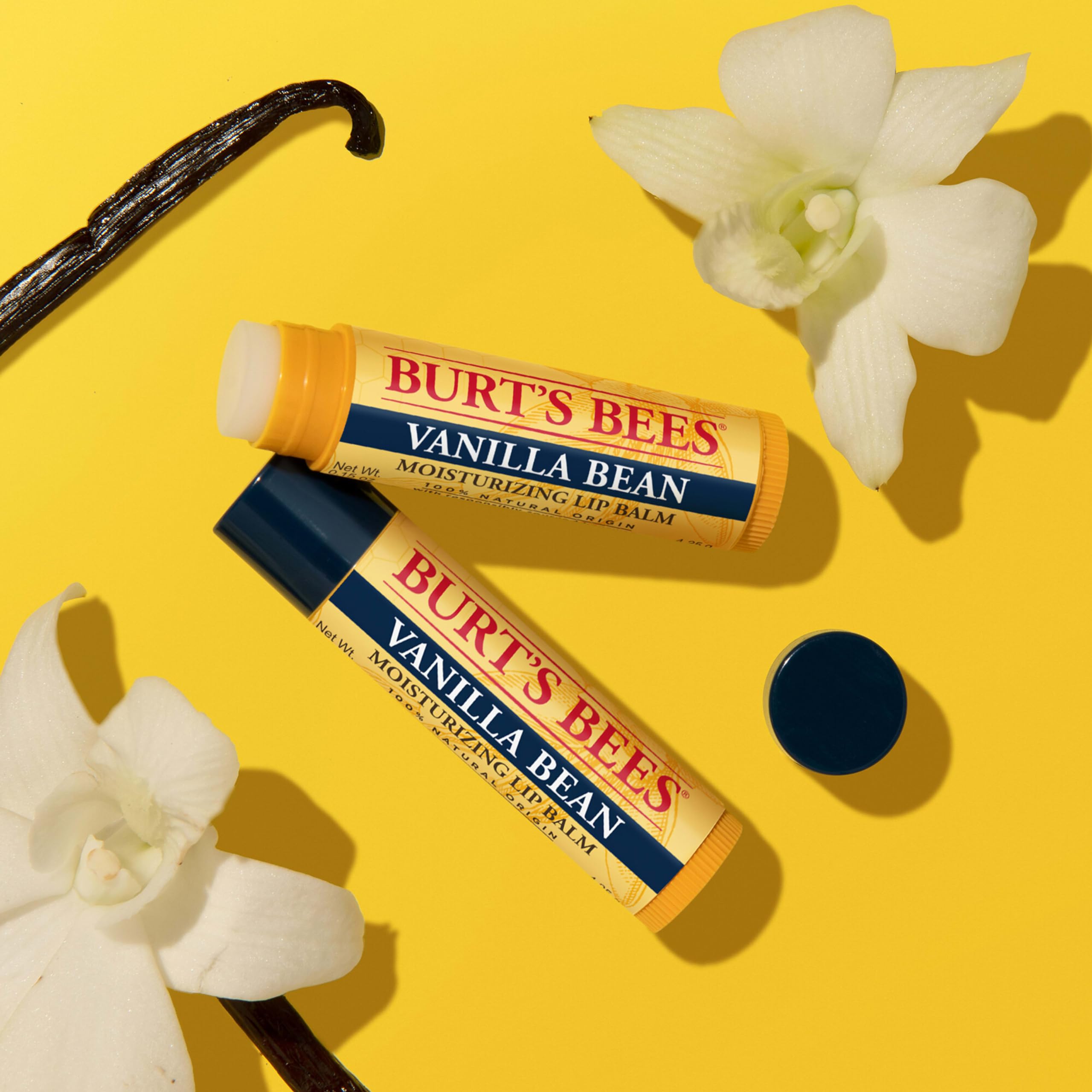 Ingrédients essentiels Burt's Bees Vanille – cire d’abeille et beurre de karité.