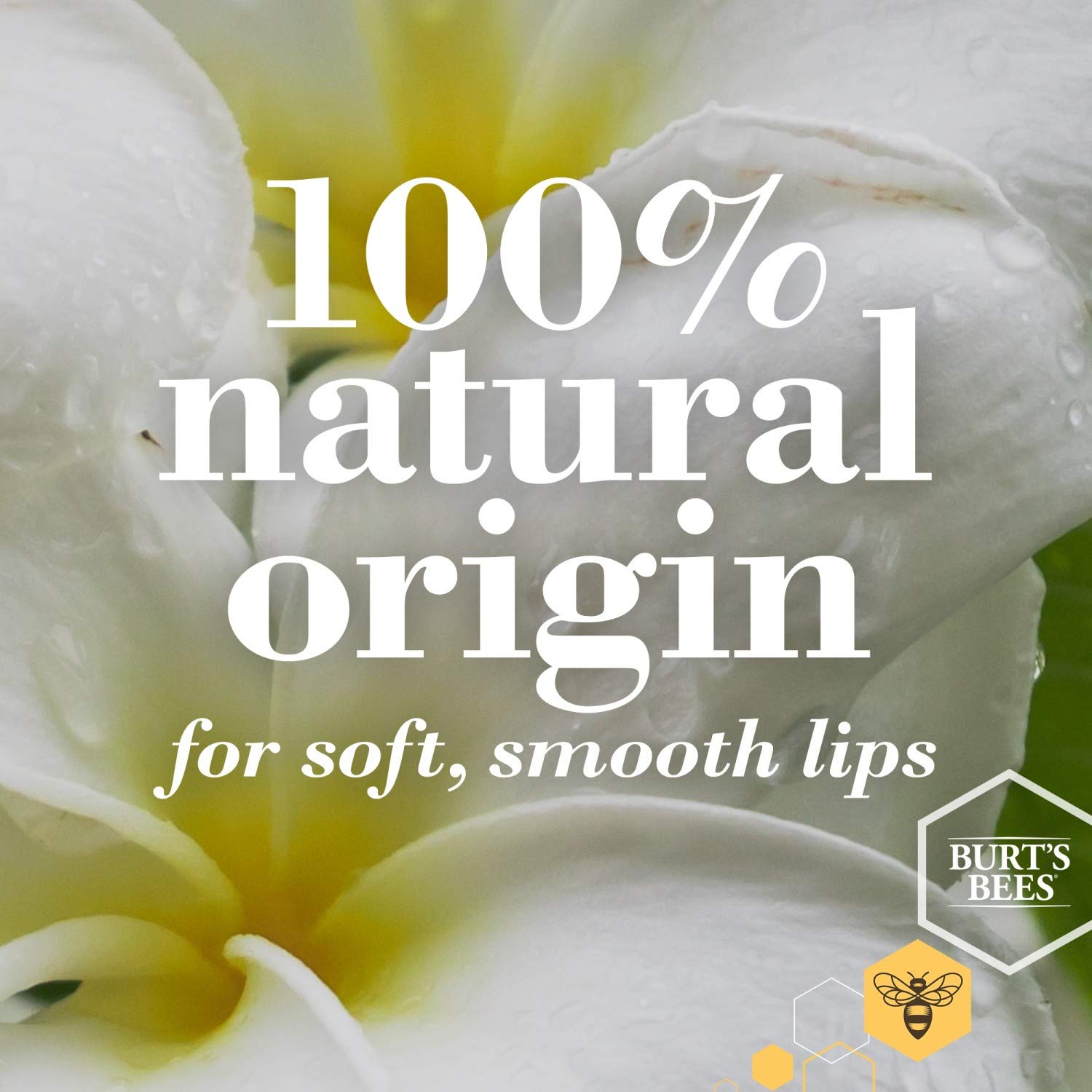 Burt's Bees Lip Shine Spontanéité — brillance verre qui habille les lèvres d'un éclat lumineux.