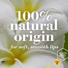 Burt's Bees Lip Shine Spontanéité — brillance verre qui habille les lèvres d'un éclat lumineux.