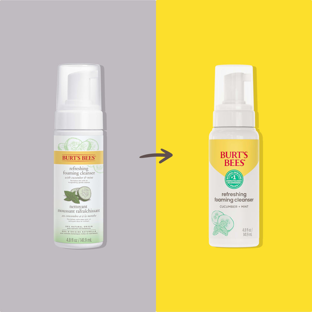 Burt's Bees Nettoyant Mousse Visage Concombre Menthe – pompe facile, mousse légère.