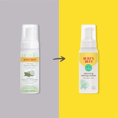 Burt's Bees Nettoyant Mousse Visage Concombre Menthe – pompe facile, mousse légère.