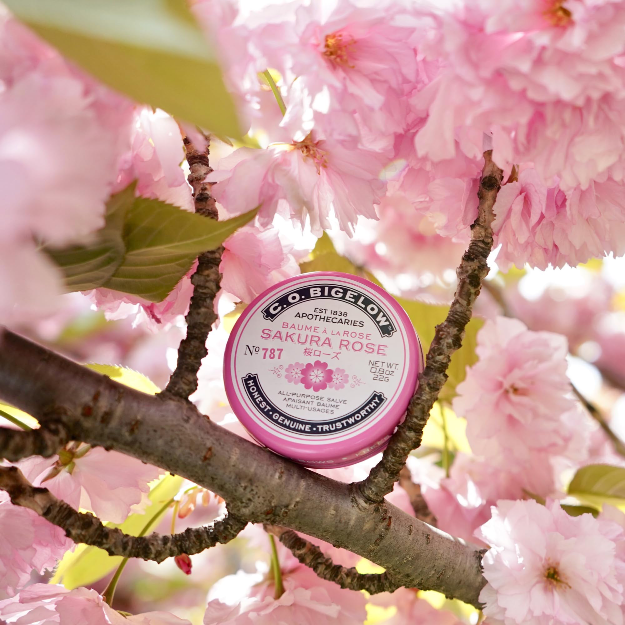 Fabriqué aux États-Unis, Sakura Rose Salve par C.O. Bigelow