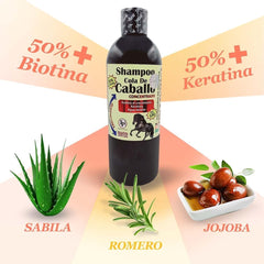 CABALLADO Shampoing sans sel – eau micellaire visible, nettoyage en douceur du cuir chevelu