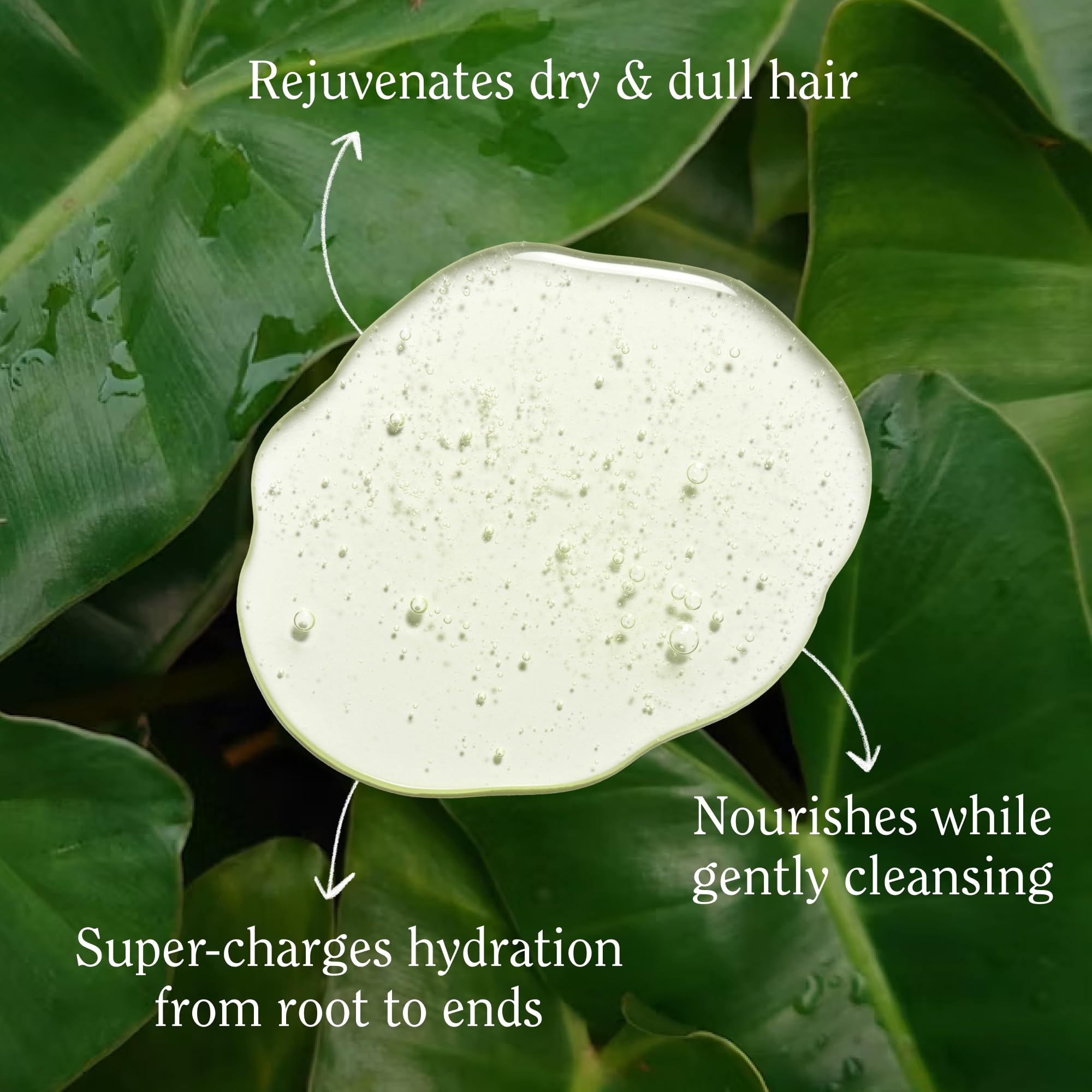 California Naturals Shampoing mousse légère: nettoyage délicat sans alourdir.
