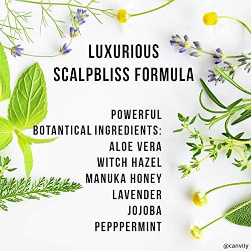 Canviiy ScalpBliss Sérum – texture légère non grasse