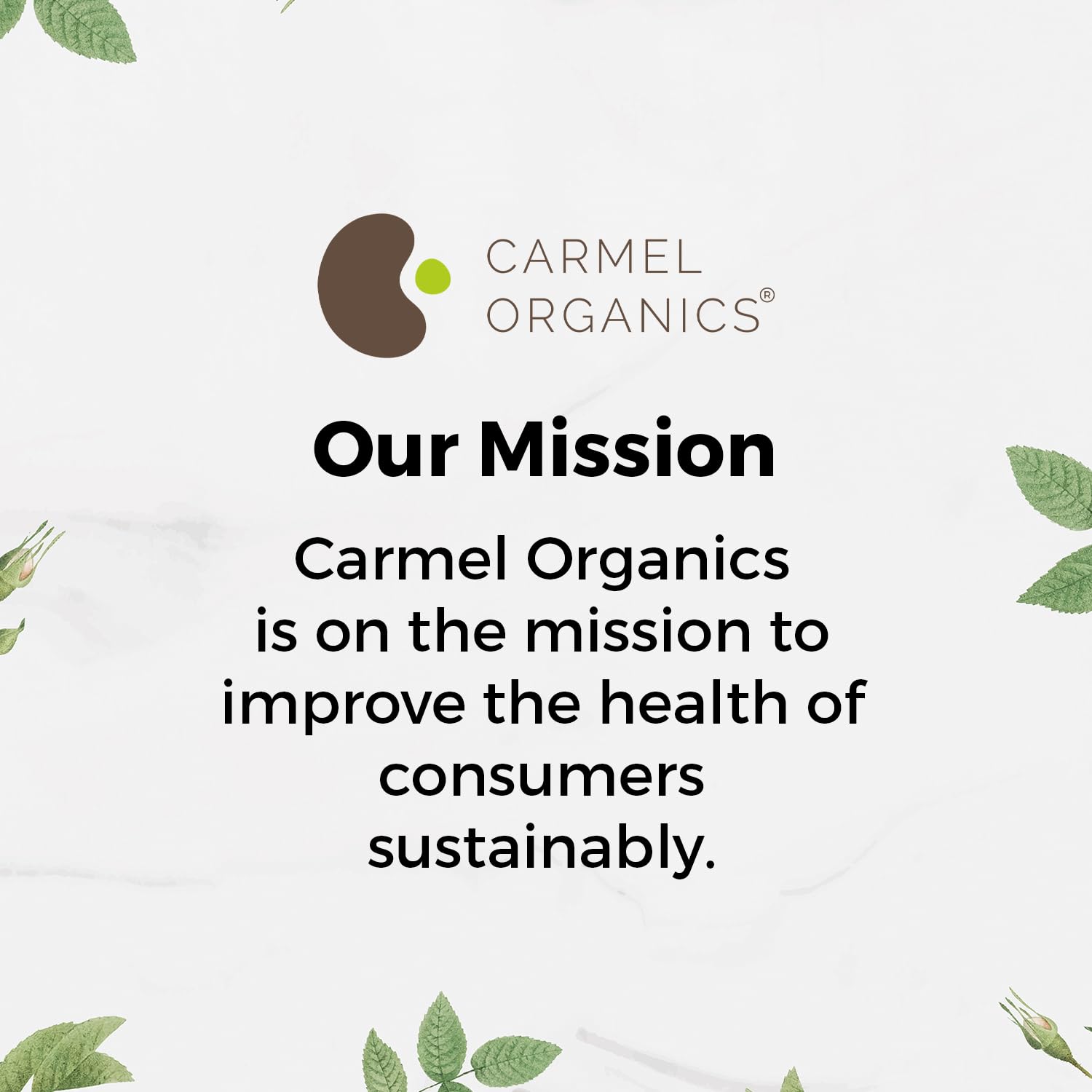 Carmel Organics Application Indigo sur cheveux, résultats progressifs