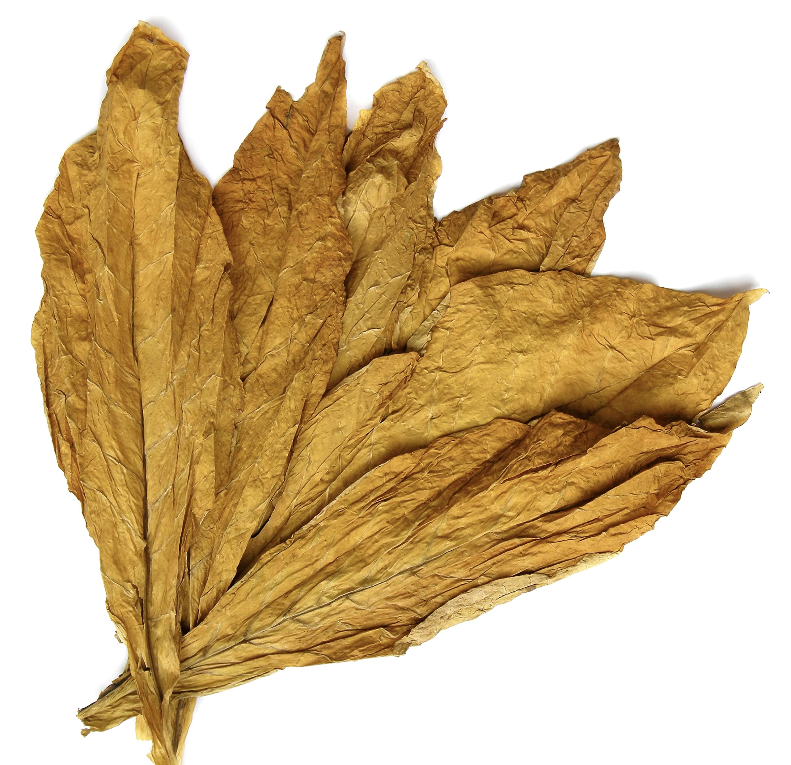 Carolina Castile Tobacco Vanilla, image-lavages-douceur, nettoie sans agresser peau et cheveux sensibles.