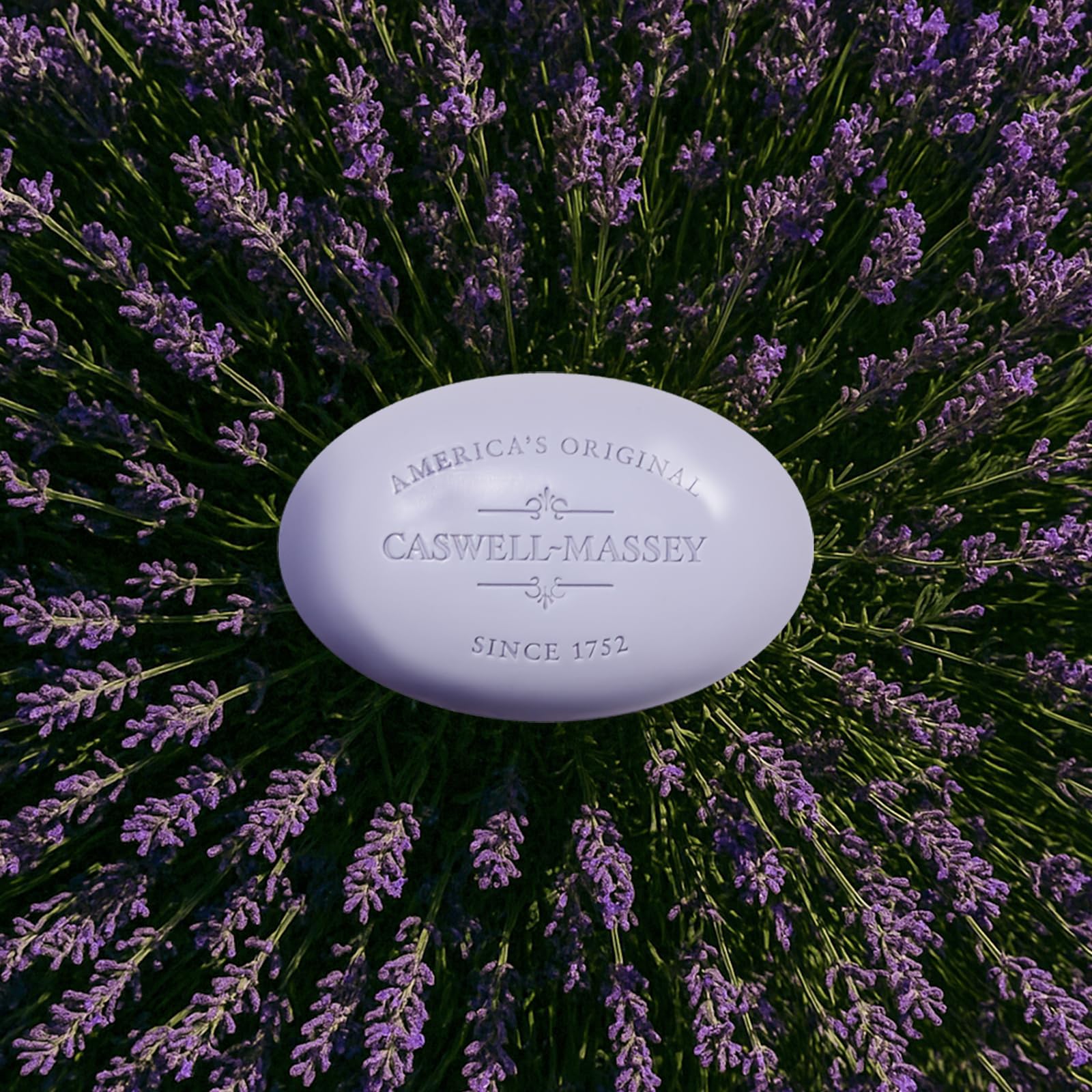 Emballage cadeau Caswell-Massey Lavande, idée cadeau premium.