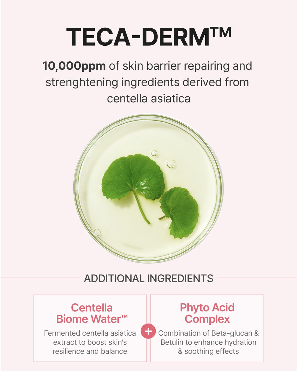 Soin doux destiné aux peaux sensibles avec CENTELLIAN24 Madeca Daily Repair Toner.