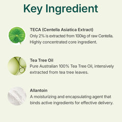 Ingrédients clés arbre à thé australien TECA et Allantoïne hydratante