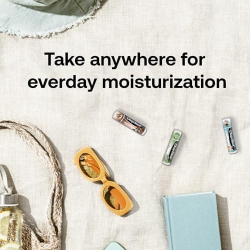 CHAPSTICK étui et emballage – rangement pratique dans le sac.