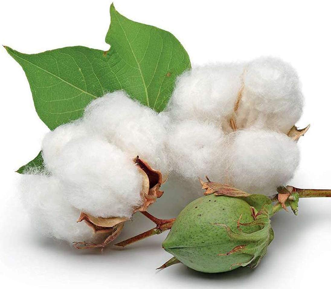 Chenchenchen coton-tiges pointus longueur 4 pouces, longs et fins.