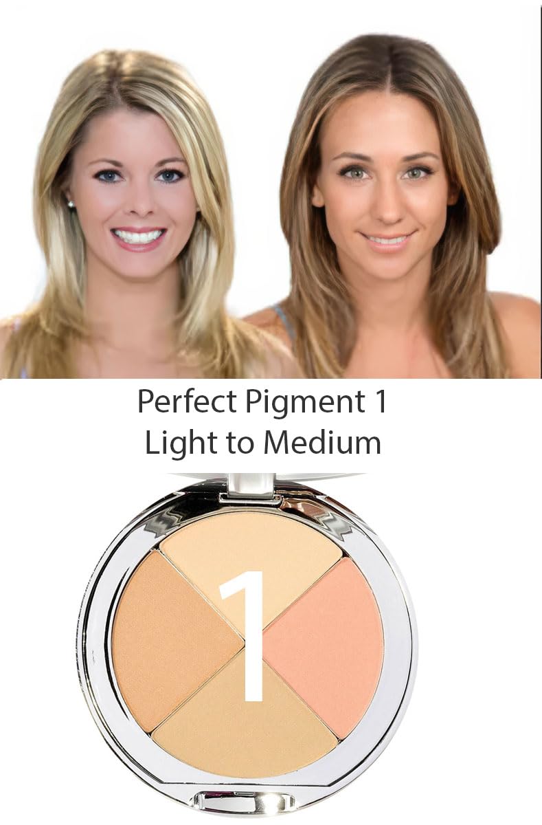 Christina Cosmetics Pigment Parfait 1: pinceau rétractable pour une application rapide et précise.
