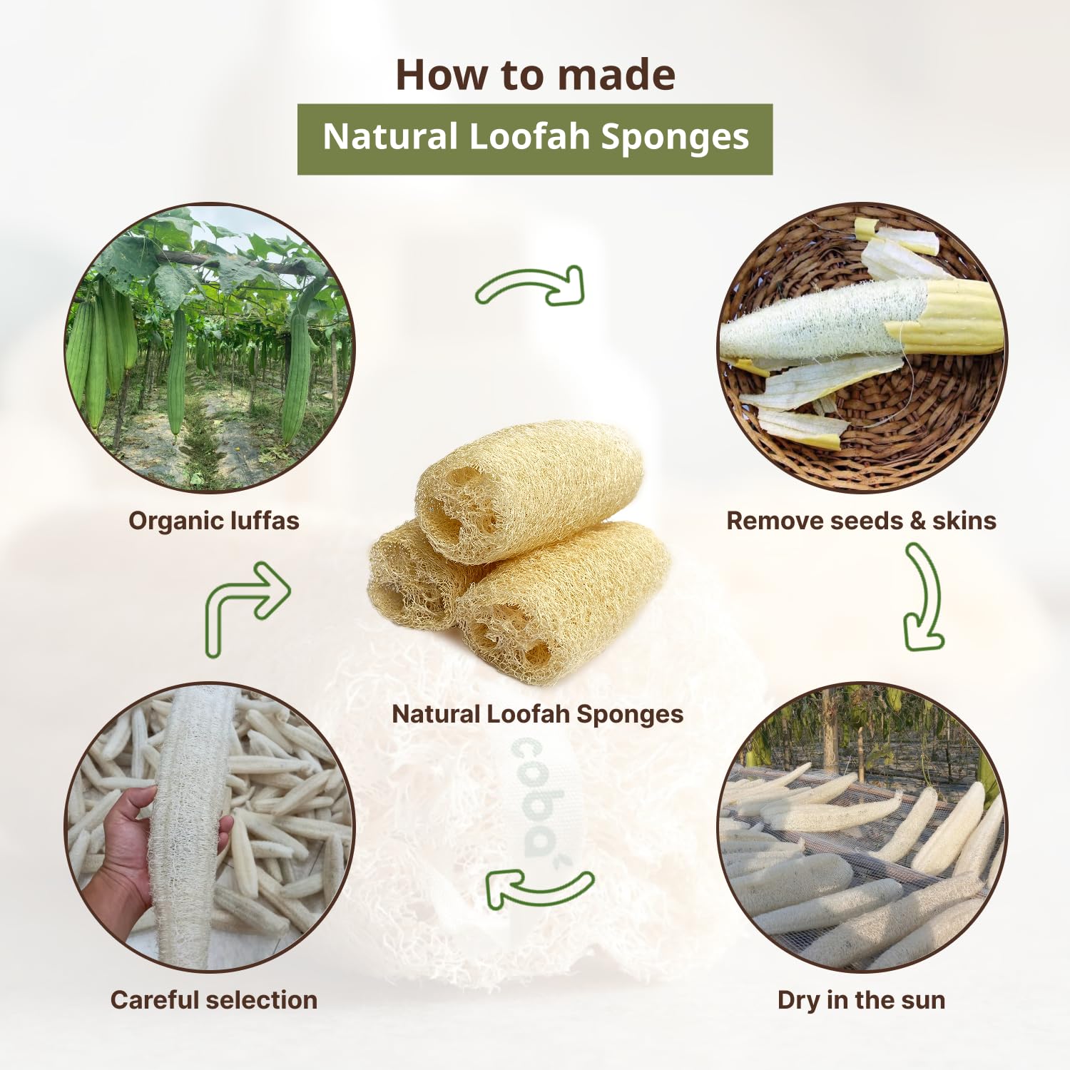 COBA STRAWS coffret de 4 éponges loofah prêt à l'emploi.
